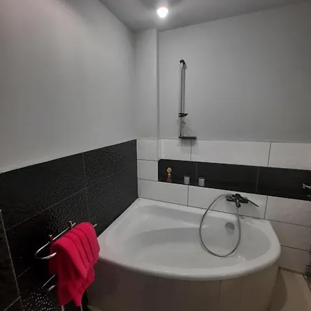 Zorzy Przy Instytucie Kardiologii Anin