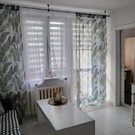 Zorzy Przy Instytucie Kardiologii Anin