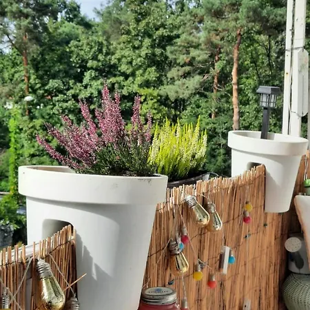 Zorzy Przy Instytucie Kardiologii Anin * Варшава