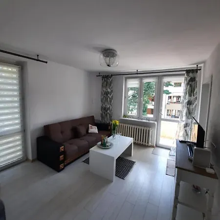 Zorzy Przy Instytucie Kardiologii Anin