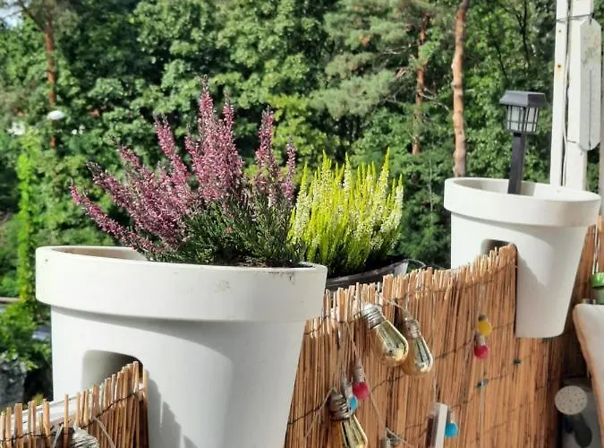 Zorzy Przy Instytucie Kardiologii Anin * Warszawa