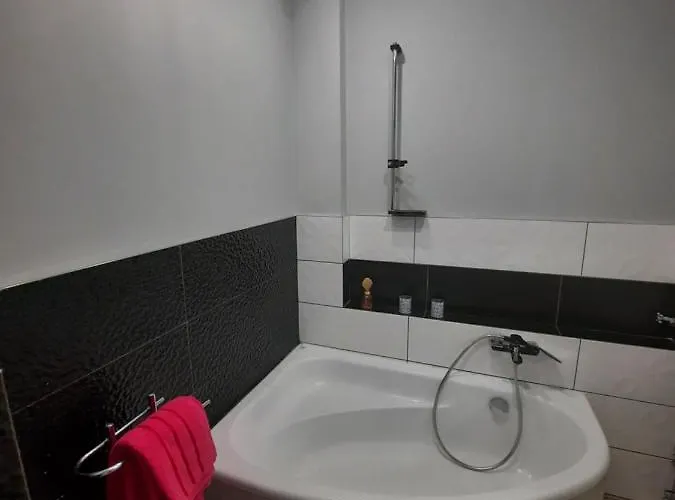 Zorzy Przy Instytucie Kardiologii Anin