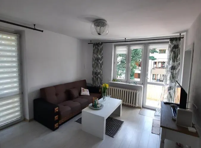 Zorzy Przy Instytucie Kardiologii Anin